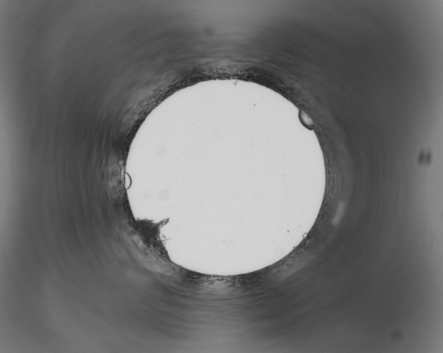 X0000115720624200912101430