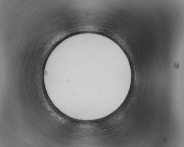 X0000115720625200912101429
