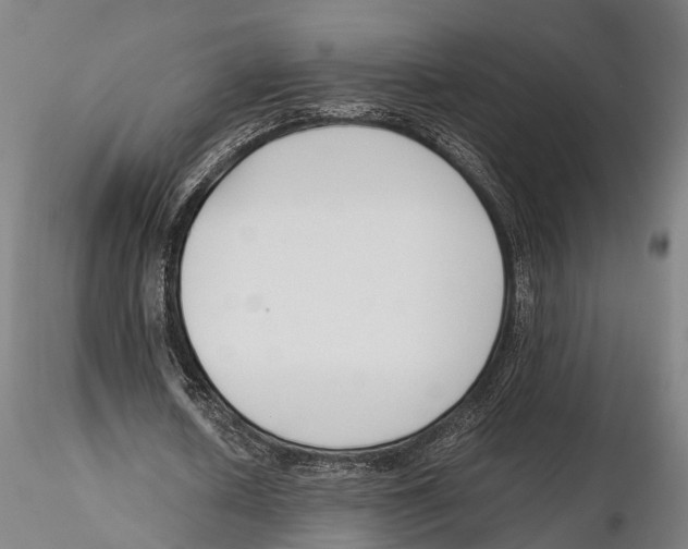 X0000115720626200912101429