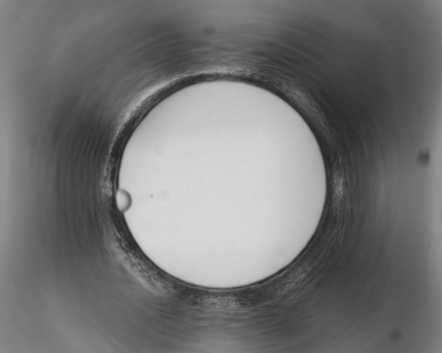 X0000115720628200912101429