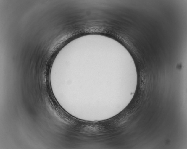 X0000115720631200912101429