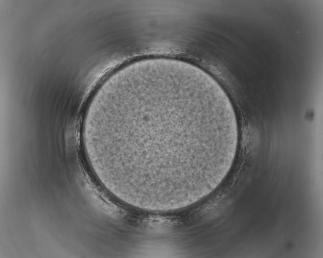 X0000115720632200912101429