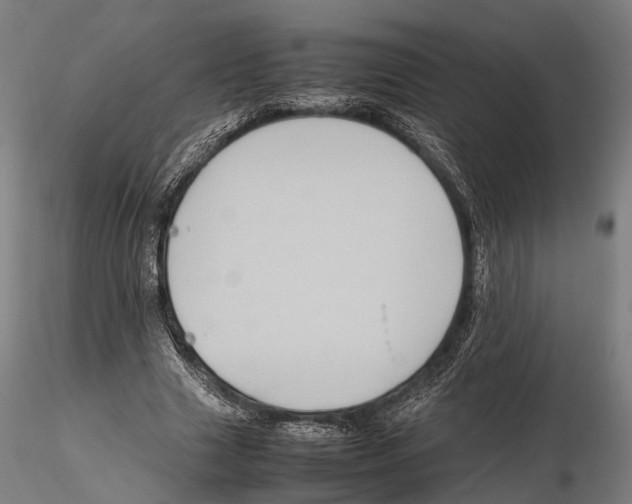 X0000115720633200912101429
