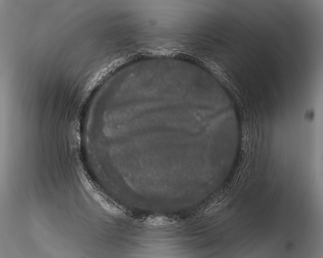 X0000115720634200912101429