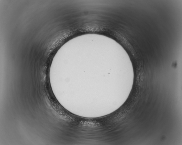 X0000115720635200912101429