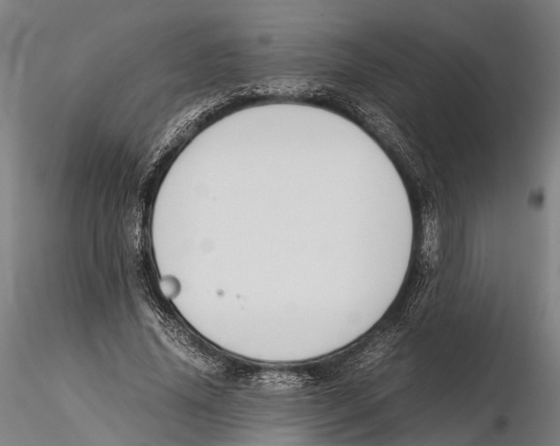 X0000115720636200912101429