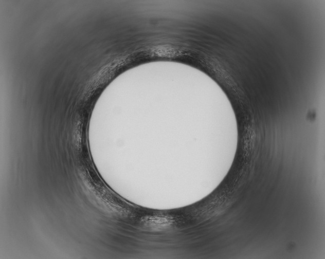 X0000115720639200912101429