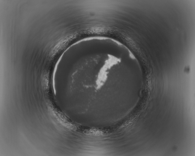 X0000115720640200912101429