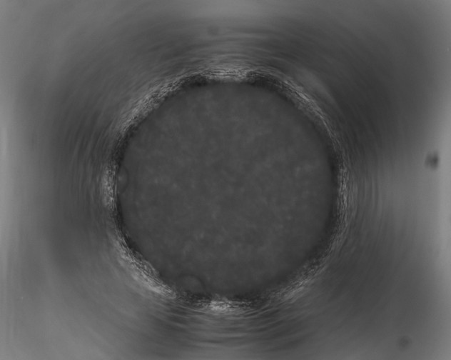 X0000115720641200912101429