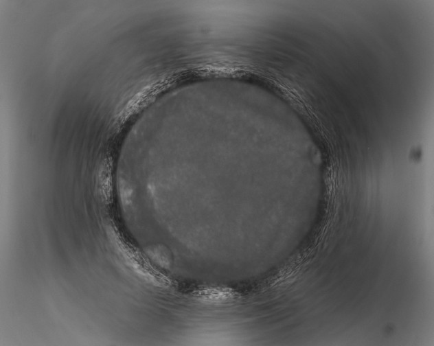 X0000115720642200912101429