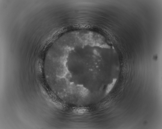 X0000115720643200912101429