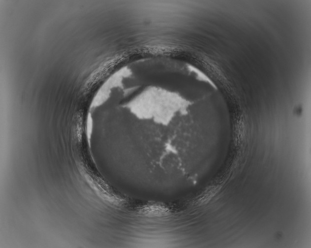 X0000115720644200912101429