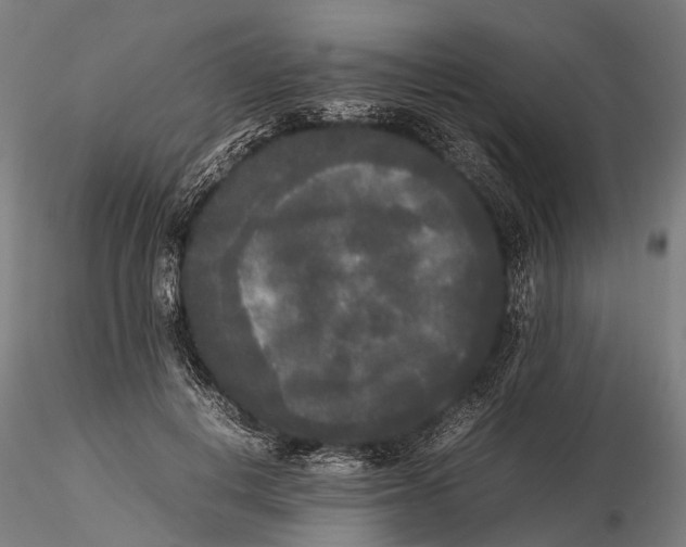 X0000115720648200912101429