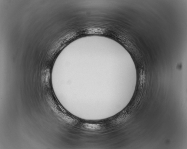 X0000115720649200912101429