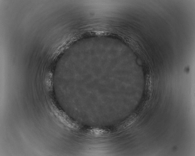 X0000115720650200912101429