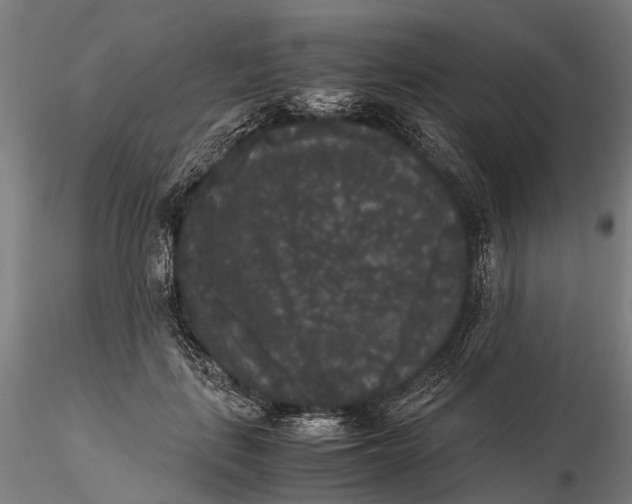X0000115720651200912101429