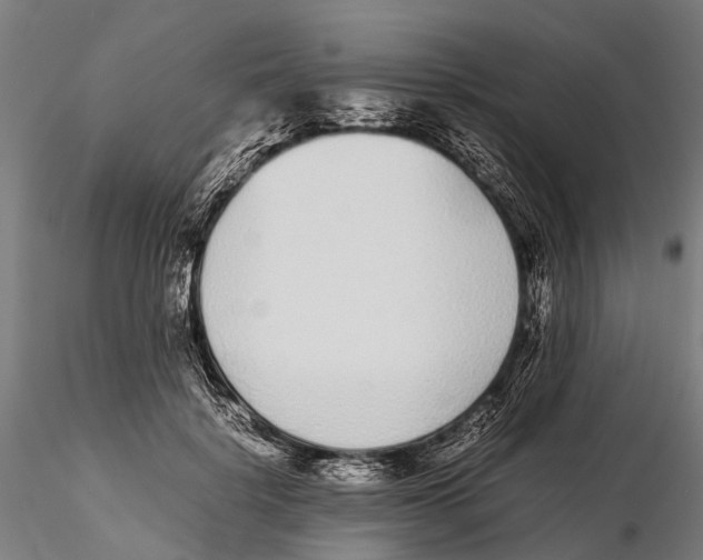 X0000115720652200912101429