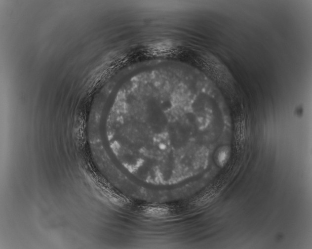 X0000115720653200912101429