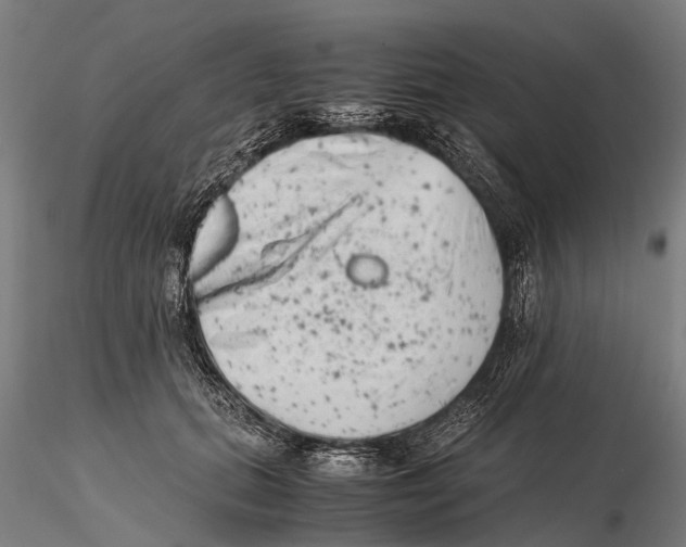 X0000115720655200912101429