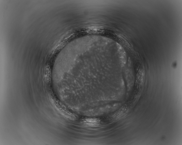 X0000115720659200912101429