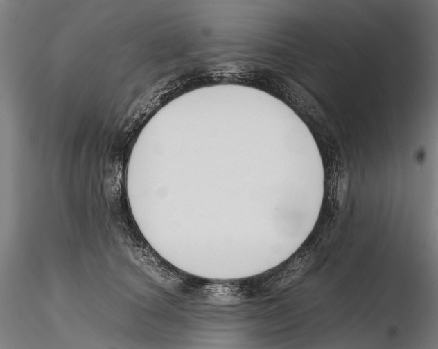X0000115720660200912101429
