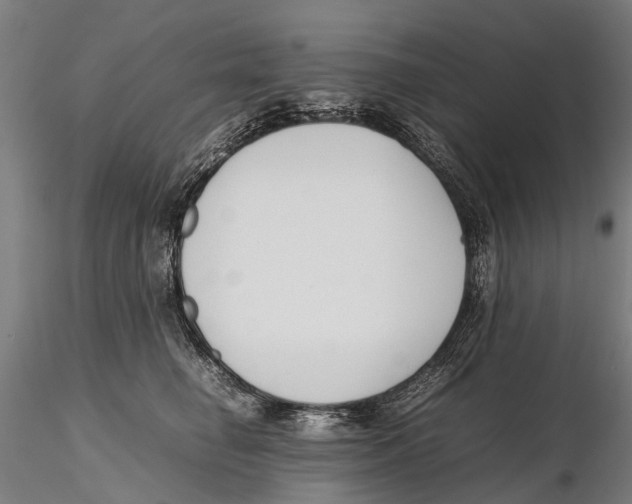 X0000115720662200912101429
