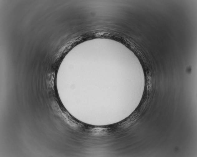 X0000115720664200912101429
