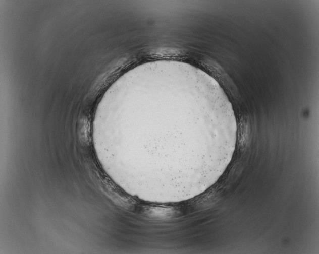 X0000115720669200912101430