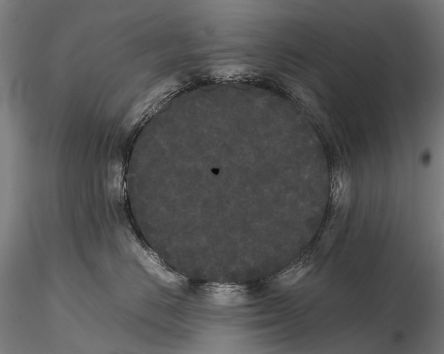 X0000115720670200912101430