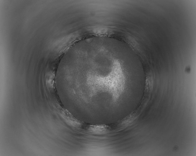 X0000115720671200912101430