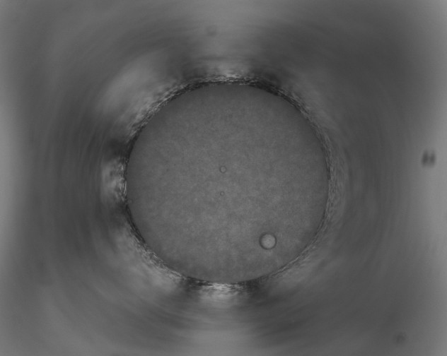 X0000115720672200912101430