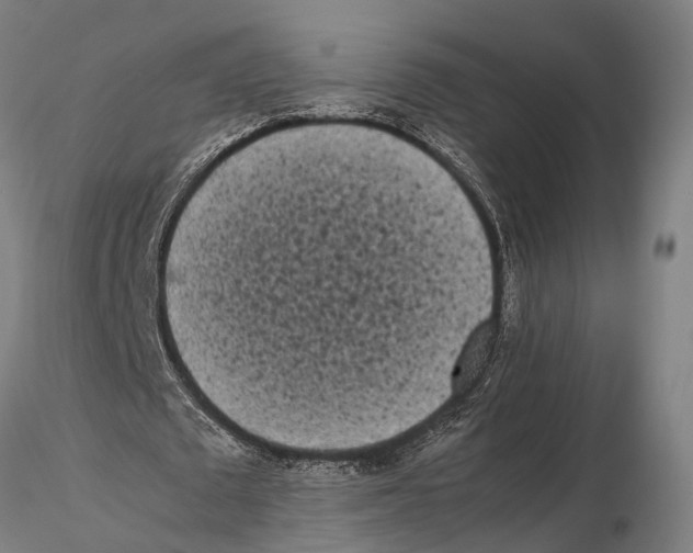 X0000115720673200912101429