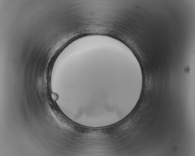 X0000115720674200912101429
