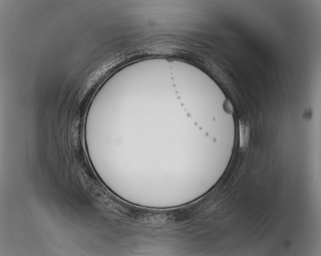 X0000115720675200912101429