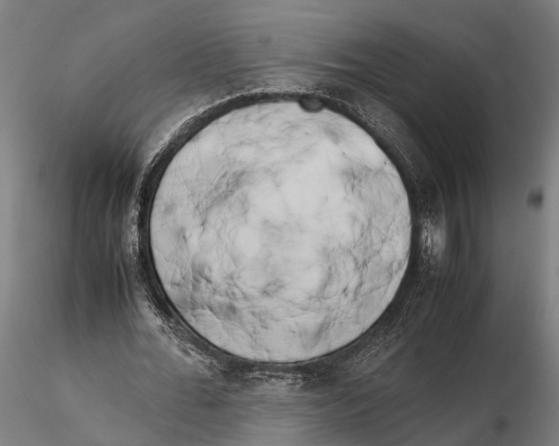 X0000115720676200912101429