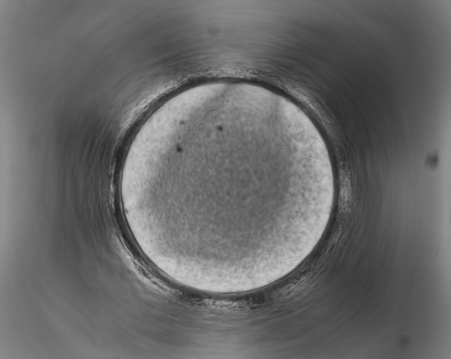 X0000115720677200912101429