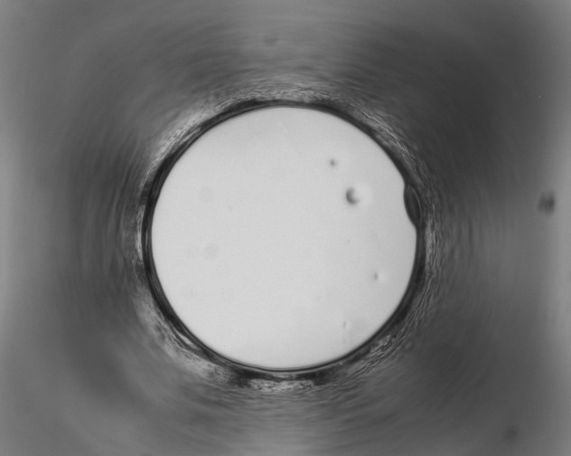 X0000115720679200912101429