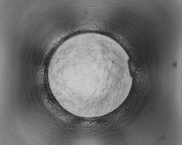 X0000115720680200912101429