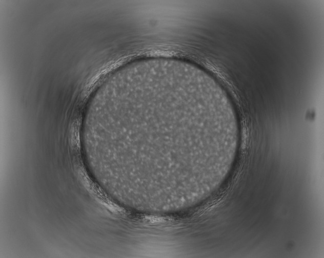 X0000115720681200912101429