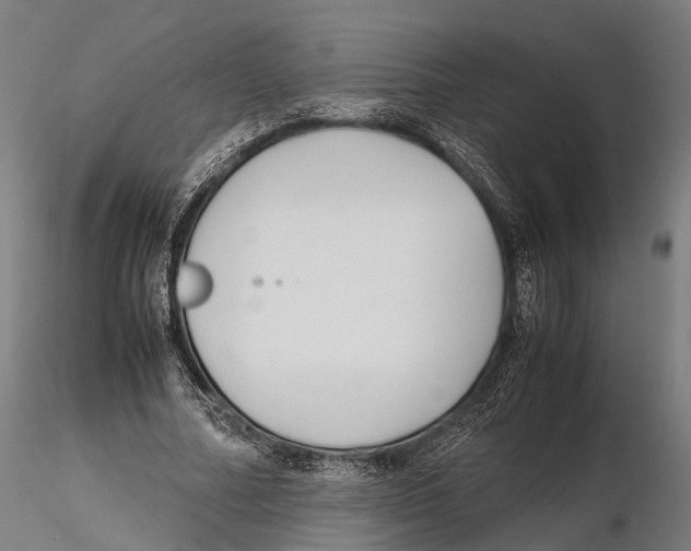 X0000115720682200912101429