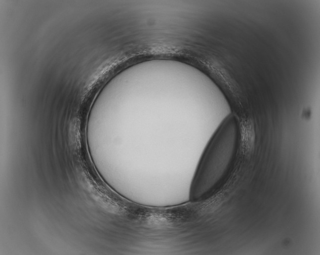 X0000115720684200912101429