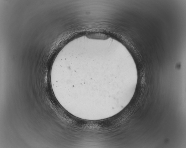 X0000115720685200912101429