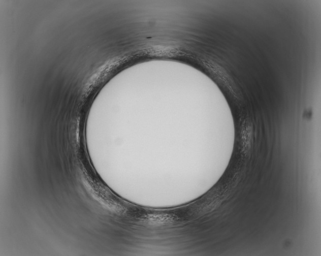 X0000115720686200912101429