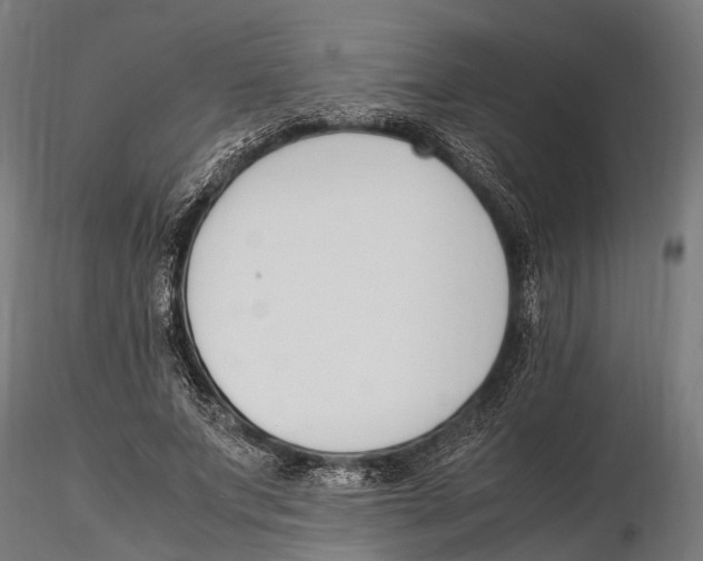 X0000115720687200912101429