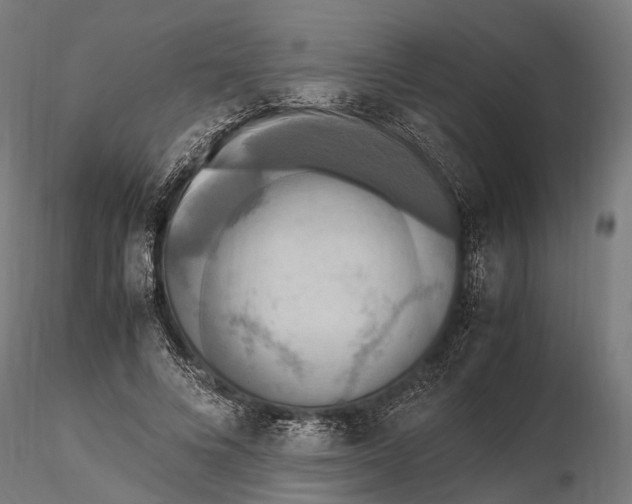 X0000115720688200912101429