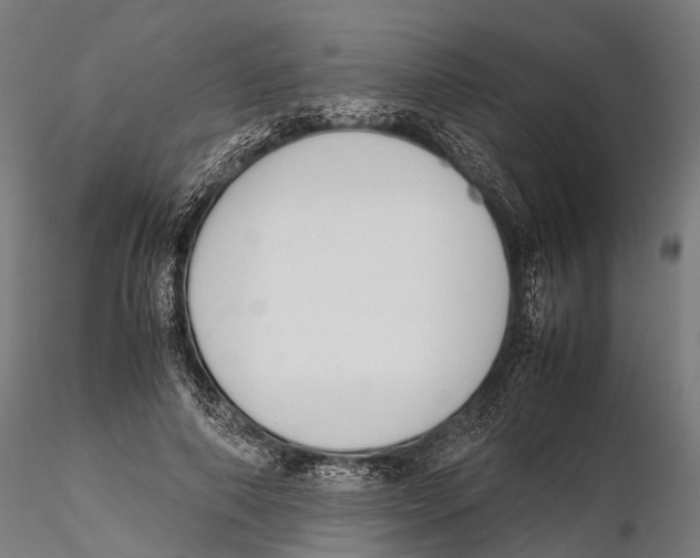 X0000115720690200912101429