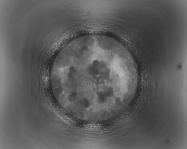 X0000115720691200912101429