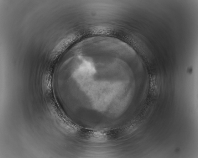 X0000115720692200912101429