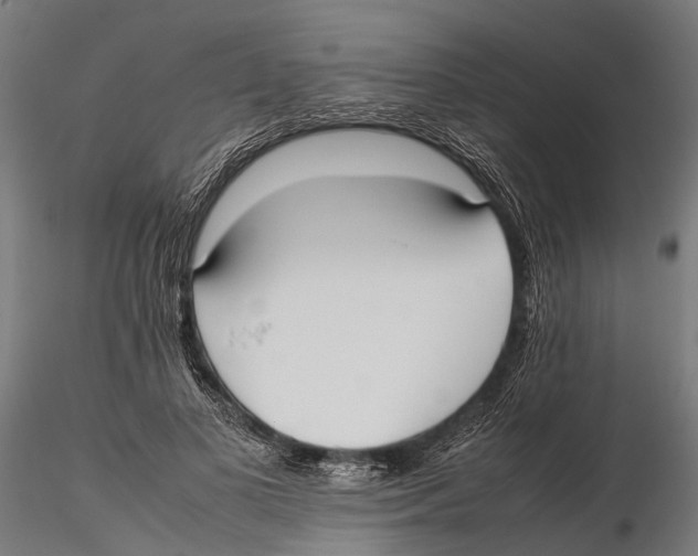 X0000115720693200912101429
