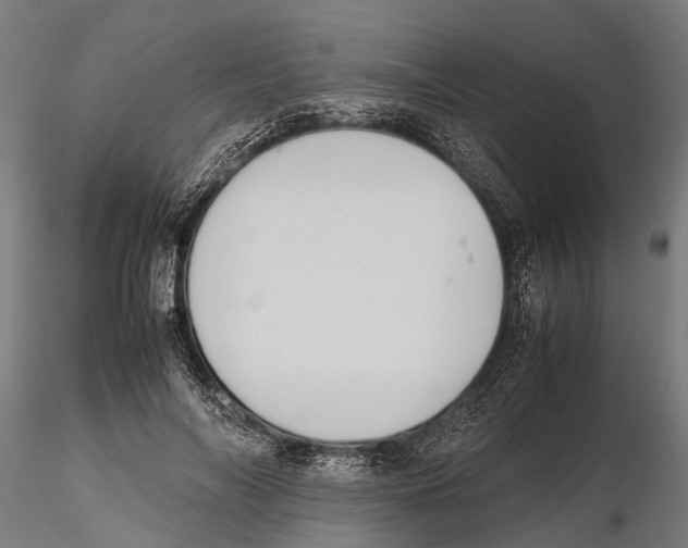 X0000115720694200912101429